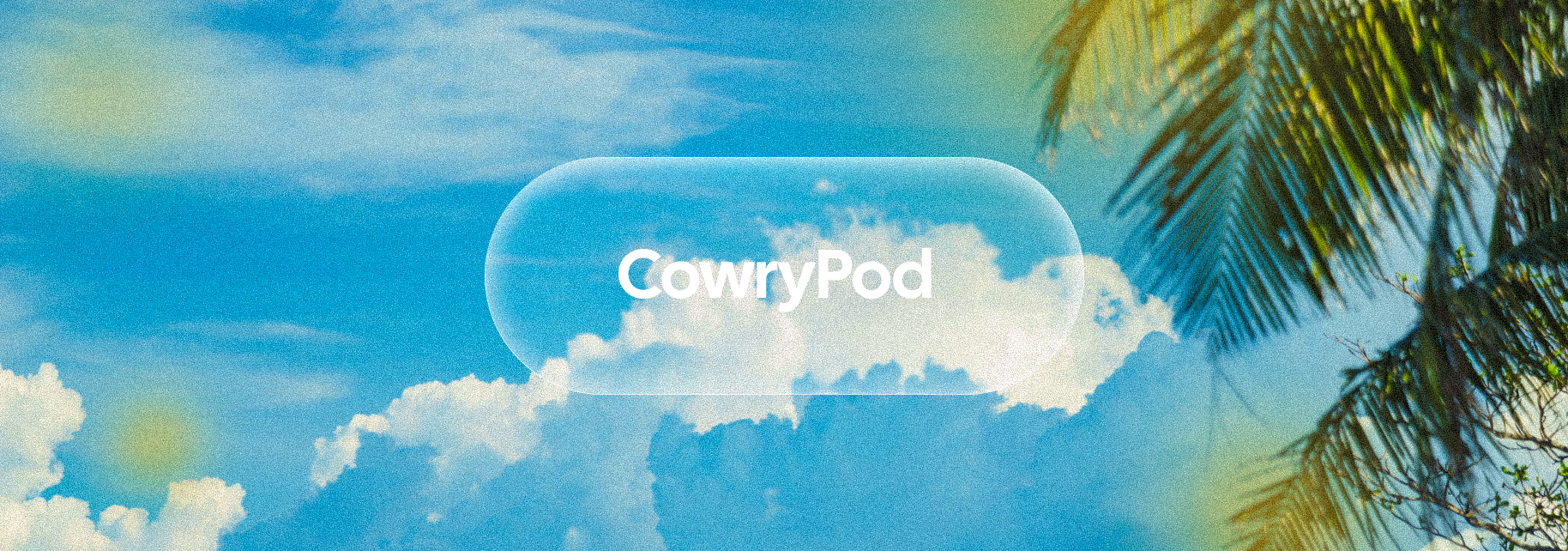 CowryPod — Digital Wallet preview